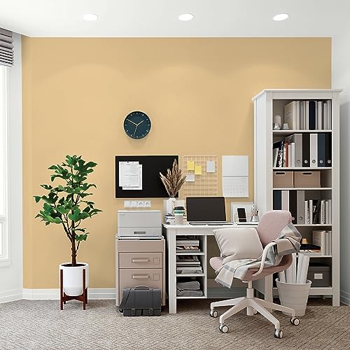 Glidden Total Interior Wall Paint & Primer All-in-One, Halo/Yellow, Flat, 1 Gallon - color: Halo, size: 128 Fl Oz (Pack of 1)