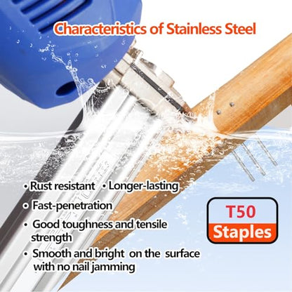 Heavy Duty T50 Staples 5/16 Inch 2000-Count 304 Stainless Steel - size: 5/16" - 2000 Count