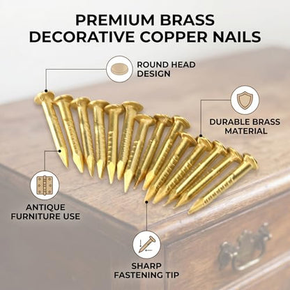 HEEPDD 100Pcs Brass Escutcheon Tacks, 10mm Round Head Brass Brad Nail - color: 10mm Length