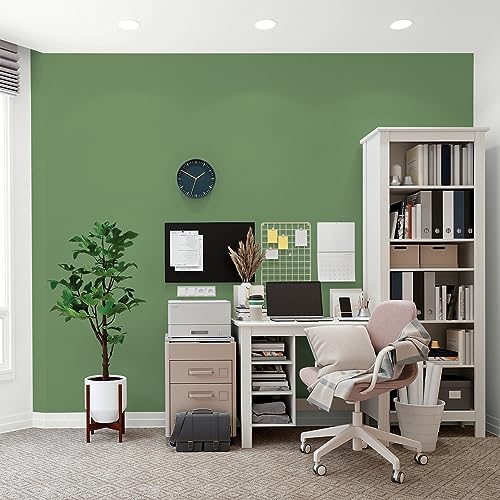 Glidden Total Interior Wall Paint & Primer All-in-One, Moss Ring/Green, Flat, 1 Gallon - color: Moss Ring, size: 128 Fl Oz (Pack of 1)