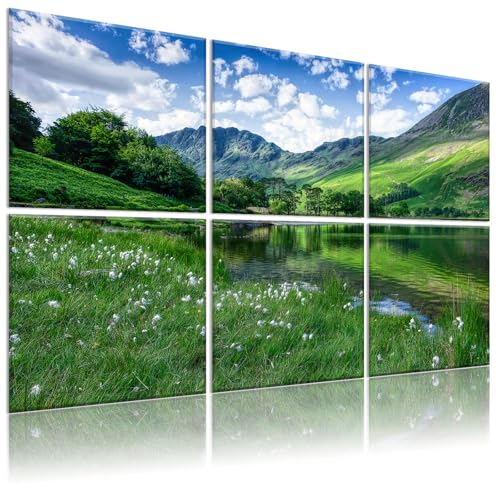Decorative Acoustic Panels 6 Pack, 72"x48" - Green Landscape Print - color: Green Landscape, size: 72 X 48 Inches