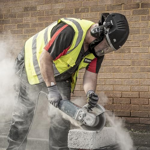 TREND Airshield Pro Respirator and Ear Defender Bundle, Powered Air Circulating Dust Protection with Clip-On Hearing Protection for Woodworking, Full Face Shield Design, AIR/PRO/D2 - style: Mask & Ear Defenders