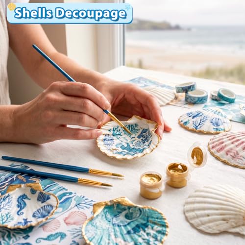 20Pcs 2-3 Inch Scallop Shells for Crafts - size: 2-3 Inch 20Pcs