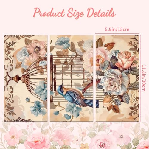 Peacoblue Vintage Birdcage Rub On Transfers for Furniture Craft 6"x12" - style: Vintage Birdcage