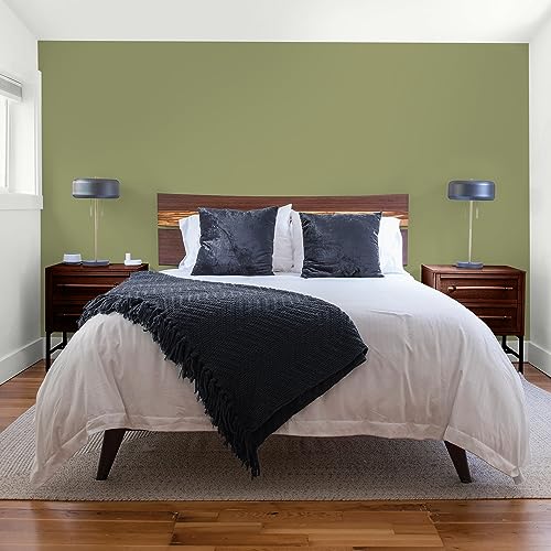 Glidden Total Interior Wall Paint & Primer All-in-One, Paid in Full/Green, Flat, 1 Gallon - color: Paid in Full, size: 128 Fl Oz (Pack of 1)
