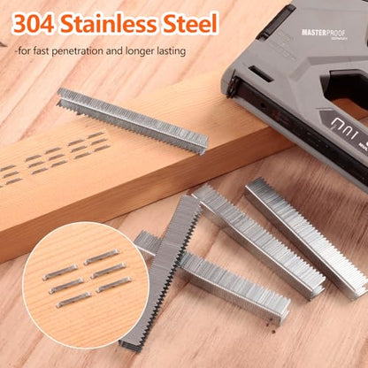Heavy Duty T-50 304 Stainless Steel Staples 2184-Count 5 Sizes - size: 5 Sizes-2184 pcs