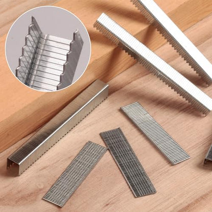 Heavy Duty T50 Staples 3/8" Length 3/8" Crown 5000 Pcs Galvanized - size: 3/8" - 5000 Count