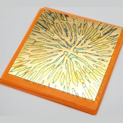 Tropical Glitz Patent Leaf Transfer Book 25 Sheets Auto-Grade Foil Sheets for Custom Paint, Gilding, and Art Projects (Variegated PV19) - color: Variegated PV19