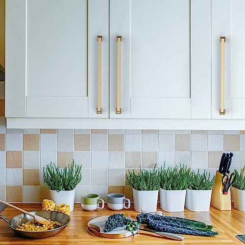 Asidrama 10 Pack 9 inch Brushed Brass Kitchen Cabinet Handles - color: Brushed Brass, size: 8.8" Hole Center(224mm)