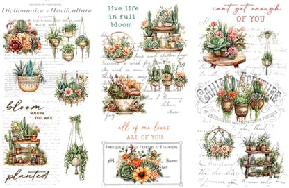 Rub on Transfers for Crafts and Furniture | 3 Design Sheets 6”x 12” | Home Decor Transfers | Furniture and Craft Decals | by Thymeless Designs (Succulent Garden) - style: Succulent Garden