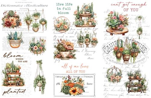 Rub on Transfers for Crafts and Furniture | 3 Design Sheets 6”x 12” | Home Decor Transfers | Furniture and Craft Decals | by Thymeless Designs (Succulent Garden) - style: Succulent Garden