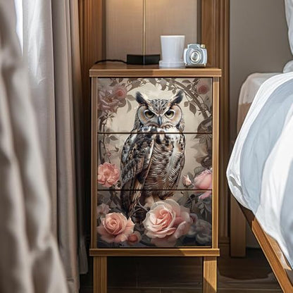 Peacoblue Vintage Owl Rub On Transfers for Furniture Craft 6"x12" - style: Vintage Owl