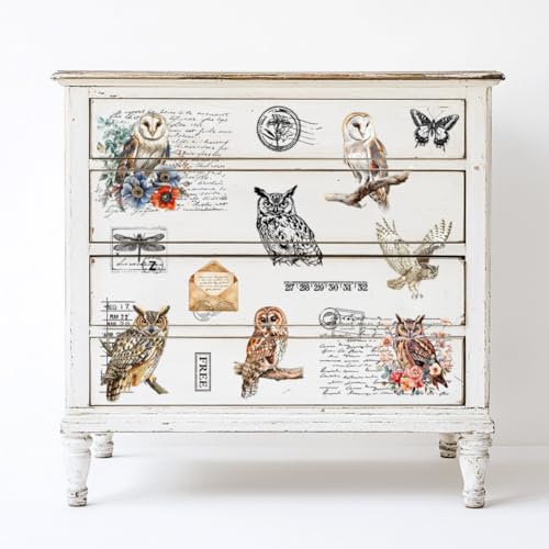 Peacoblue Owl and Text Rub On Transfers for Furniture Craft 6"x12" - style: Owl and Text