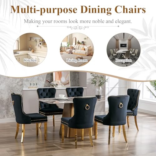Black Velvet Dining Chairs Set of 2, Elegant Tufted & Nailhead, Gold Legs - color: Black, Golden Steel Leg, size: set of 2