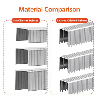 Heavy Duty T-50 304 Stainless Steel Staples 1300-Count 5 Sizes - size: Assorted (1/4 Inch-9/16 Inch) 1300-Count