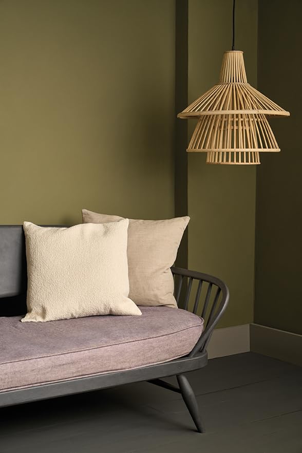 Annie Sloan Wall Paint (Olive, 4 Fl Oz Tester) - color: Olive, size: 4 Fl Oz (Pack of 1)