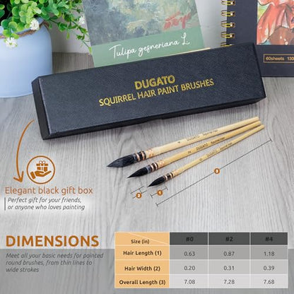 DUGATO Squirrel Hair Watercolor Paint Brushes, Mop Round Tip Brush, 3-Piece - color: 3 Brushes - Set