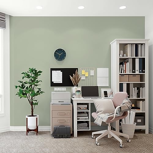 Glidden Total Interior Wall Paint & Primer All-in-One, Light Sage/Green, Flat, 1 Gallon - color: Light Sage, size: 128 Fl Oz (Pack of 1)