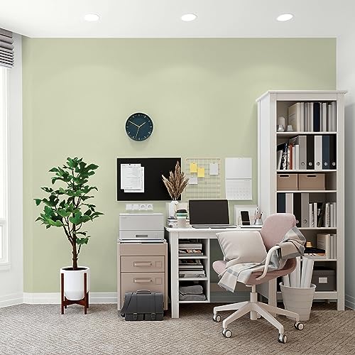 Glidden Total Interior Wall Paint & Primer All-in-One, Pickling Spice/Green, Flat, 1 Gallon - color: Pickling Spice, size: 128 Fl Oz (Pack of 1)