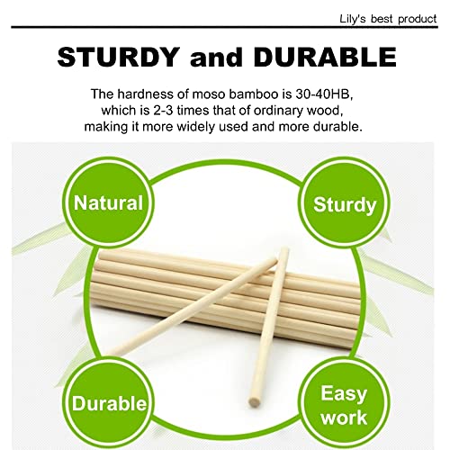HOPELF 10PCS Dowel Rods - 3/8 x 48 Inch Bamboo Sticks - for Crafts, Hardwood & Wooden Rods Assortment - size: 3/8" x 48"