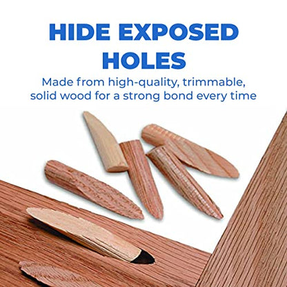 Kreg Solid-Wood Pocket-Hole Plugs, Paint Grade, P-PNT 50 Count - color: Paint Grade Plugs