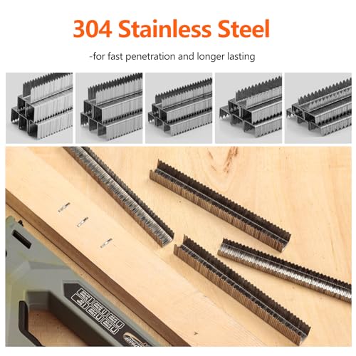 Heavy Duty T-50 304 Stainless Steel Staples 1300-Count 5 Sizes - size: Assorted (1/4 Inch-9/16 Inch) 1300-Count