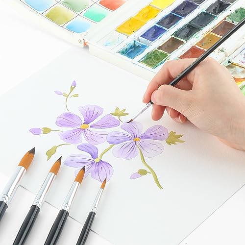 Transon 11pcs Round Paint Brush Basic Set for Watercolor, Acrylic, Gouache, Ink, and Tempera Painting (Pack of 3) - size: Round 11 PCS (Pack of 3)