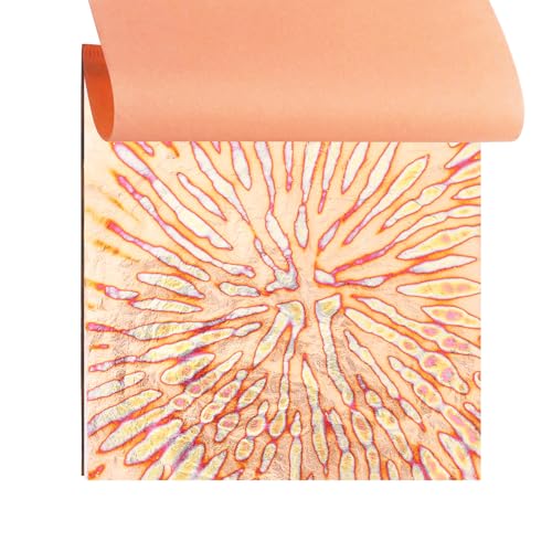KINNO Variegated Gold Leaf Sheets 25 PCS with Blooming Patterns - color: Blooming