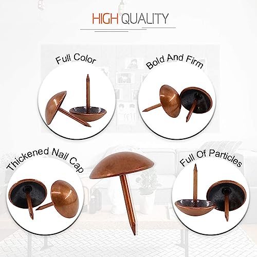 30mm Red Copper Antique Upholstery Nails, Round Large-Headed Nail, Furniture Tacks for Furniture Cork Board Wooden Furniture Decorative DIY Projects 20Pcs (Red Copper, 1-3/16")