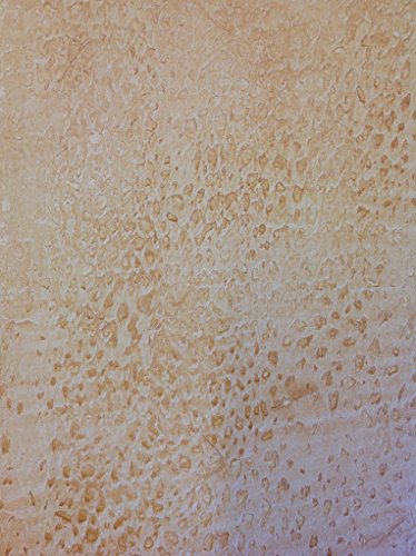 Decorative Art Texture Roller - 7" Roller (Ostrich Skin Pattern) - color: Ostrich Skin Pattern