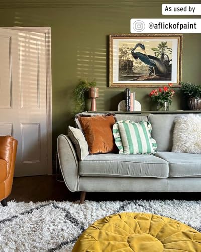Annie Sloan Wall Paint (Olive, 4 Fl Oz Tester) - color: Olive, size: 4 Fl Oz (Pack of 1)