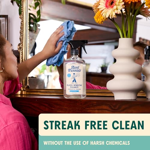 Aunt Fannie's Specialty Cleaning Spray Variety Pack, 16.9 oz, 4 Pack - size: Variety Pack (Pack of 4)