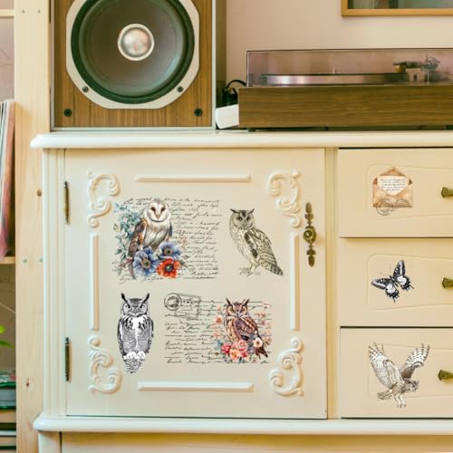 Peacoblue Owl and Text Rub On Transfers for Furniture Craft 6"x12" - style: Owl and Text