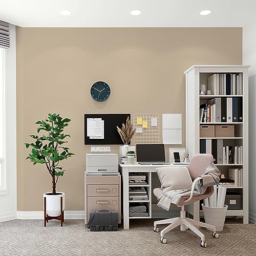 Glidden Total Interior Wall Paint & Primer All-in-One, Best Beige/Beige, Flat, 1 Gallon - color: Best Beige, size: 128 Fl Oz (Pack of 1)