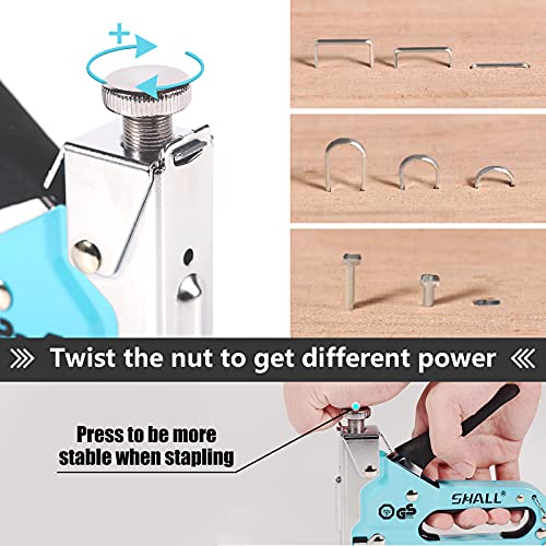 SHALL 3-in-1 Blue Staple Gun & Light Duty Staple Gun Combo