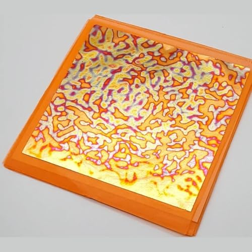 Tropical Glitz Patent Leaf Transfer Book 25 Sheets Auto-Grade Foil Sheets for Custom Paint, Gilding, and Art Projects (Variegated PV16) - color: Variegated PV16