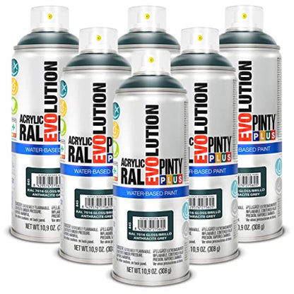 PINTY PLUS Water Based Spray Paint, 11oz, Low GWP Propellant, Low Odor, Gloss Grey. Wood, Metal, Glass, Ceramics, Terra Cotta, Plastic, Pack of 6 - color: Anthracite Grey