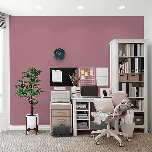 Glidden Total Interior Wall Paint & Primer All-in-One, Mauve Madness/Purple, Flat, 1 Gallon - color: Mauve Madness, size: 128 Fl Oz (Pack of 1)