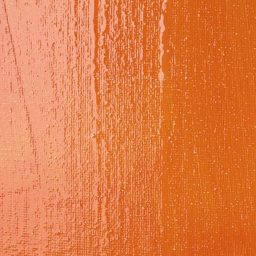 Liquitex Professional High Gloss Varnish, 946ml (32-oz) - color: High Gloss, style: 32-oz