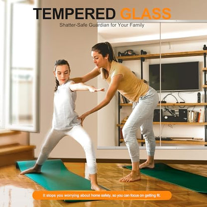 Delma Home Gym Mirror, 50''x25''x2PCS Silver Wall Mounted - size: 50''x25''x2PCS