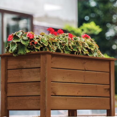 Varathane One Step Stain & Spar Semi-Gloss Dark Walnut Wood Finish - color: Dark Walnut, size: Quart (Pack of 1)