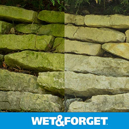Wet & Forget Outdoor Cleaner & Stain Remover - Mold, Mildew & Algae, 64oz