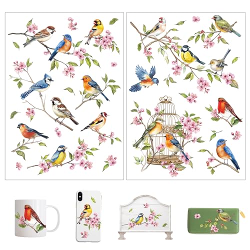 Joeyan Rub On Transfers for Crafts and Furniture, 2 Sheets Large Birds Flowers Rub on Stickers DIY Animal Transfer Decals for Wood Glass Metal Canvas Porcelain Plastic Home Decorations, 11" x16" - style: Birds Flowers