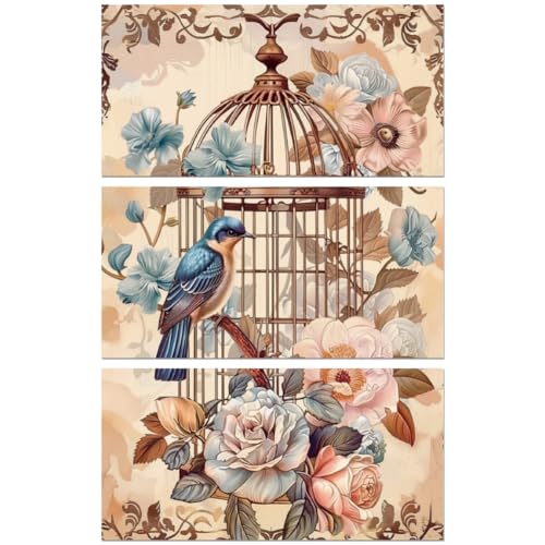 Peacoblue Vintage Birdcage Rub On Transfers for Furniture Craft 6"x12" - style: Vintage Birdcage