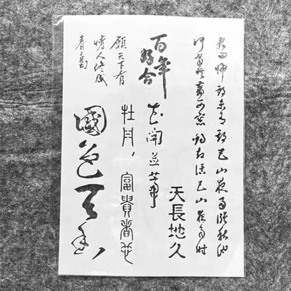 TIAMECH A4 Reusable Chinese Calligraphy Stencil for Painting - style: Chinese Calligraphy Beauty