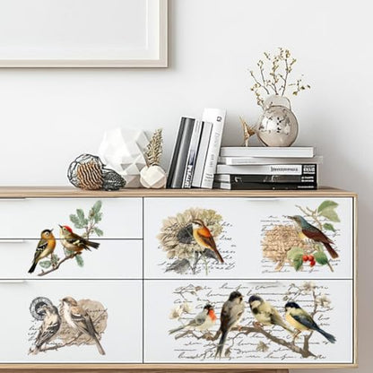 Peacoblue Retro Country Birds Rub On Transfers for Furniture Craft 6"x12" - style: Retro Country Style Birds