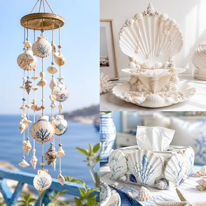 20Pcs 3-4 Inch Scallop Shells for Crafts - size: 3-4 Inch 20Pcs