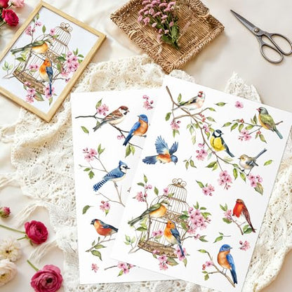 Joeyan Rub On Transfers for Crafts and Furniture, 2 Sheets Large Birds Flowers Rub on Stickers DIY Animal Transfer Decals for Wood Glass Metal Canvas Porcelain Plastic Home Decorations, 11" x16" - style: Birds Flowers