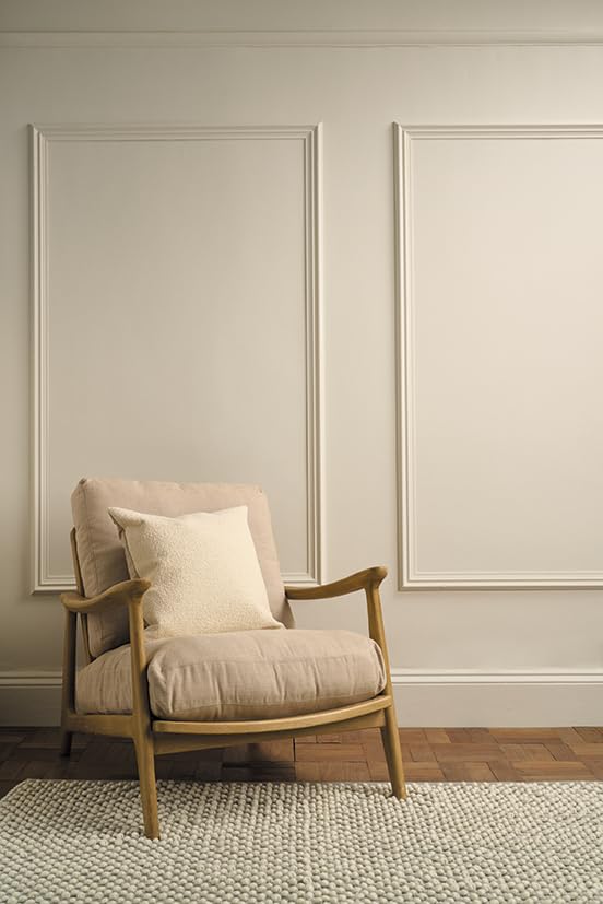 Annie Sloan Wall Paint (Old White, 4 Fl Oz Tester) - color: Old White, size: 4 Fl Oz (Pack of 1)
