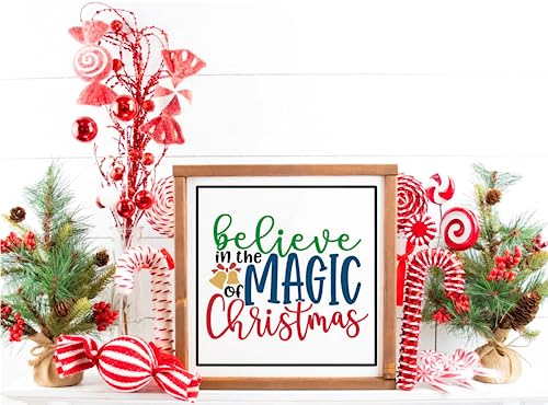 JAJADO Silk Screen Christmas Quotes Reusable Self-Adhesive Stencil - Proud Member of The Naughty List - DIY Christmas Shirt, Wood Sign, Winter Holiday Xmas Gifts Idea - color: Naughtyt List